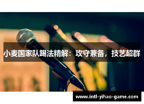 小麦国家队踢法精解:攻守兼备,技艺超群 小麦国家队踢法精解:攻守兼备,技艺超群