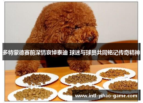 多特蒙德赛前深情哀悼泰迪 球迷与球员共同铭记传奇精神