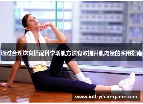 通过合理饮食搭配科学增肌方法有效提升肌肉量的实用指南
